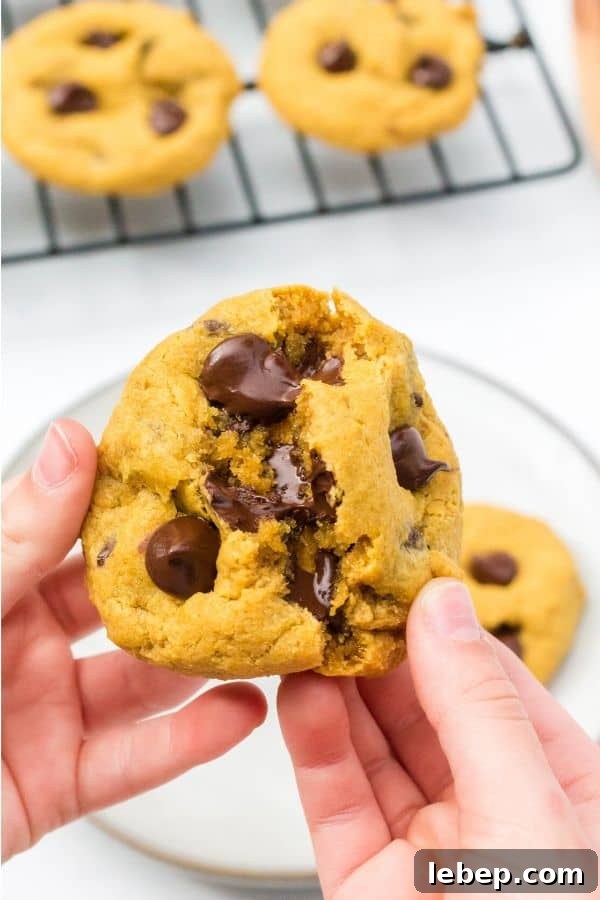 Soft Chewy Pumpkin Chocolate Chip Cookies Recipe 3 two hands pulling apart a freshly baked cookie