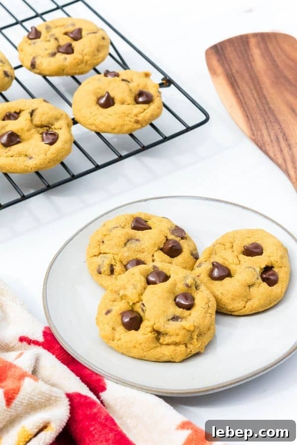 Soft Chewy Pumpkin Chocolate Chip Cookies Recipe 4 white plate with three pumpkin cookies on it