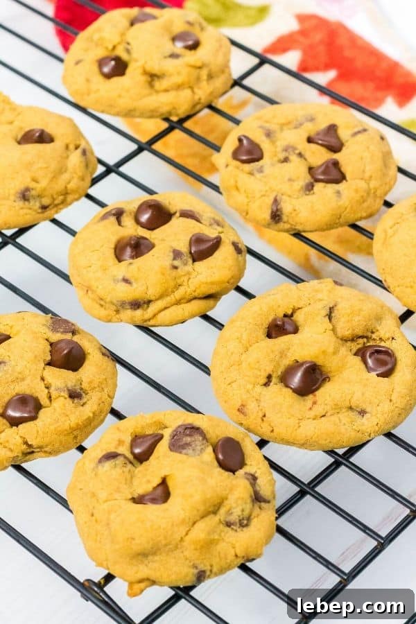 Soft Chewy Pumpkin Chocolate Chip Cookies Recipe 5 cooling rack with several pumpkin cookies on it