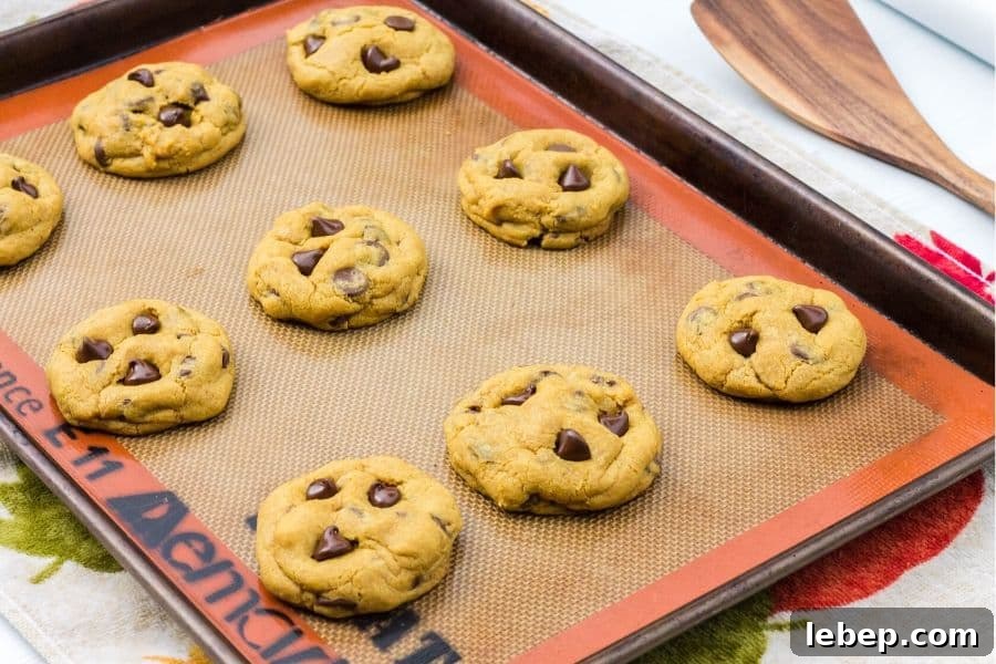 Soft Chewy Pumpkin Chocolate Chip Cookies Recipe 6 baking sheet with freshly baked pumpkin chocolate chip cookies on it