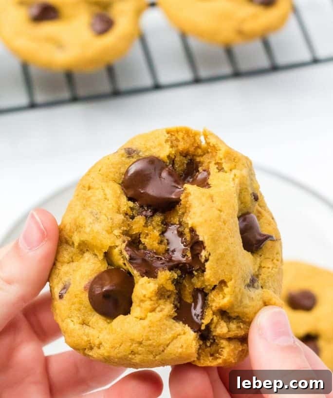 two hands pulling apart halves of a pumpkin chocolate chip cookie