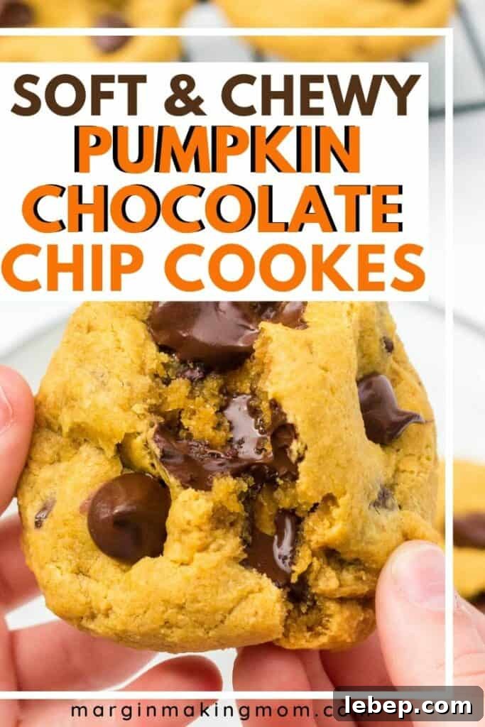 Soft Chewy Pumpkin Chocolate Chip Cookies Recipe 8 two hands pulling apart a warm pumpkin chocolate chip cookie