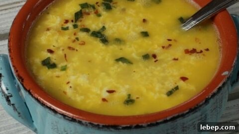 Keto Egg-Fast Ice Cream Recipe: Low-Carb Frozen Treat 6 Egg Drop Soup closeup shot