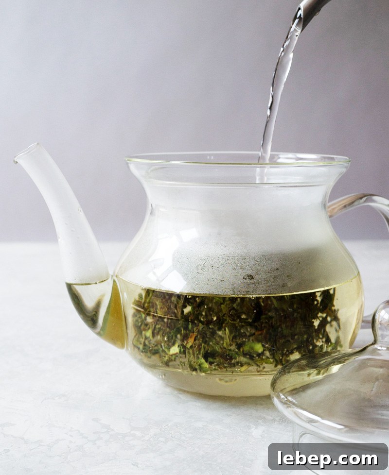 Authentic Moroccan Mint Tea Recipe — Simple Step-by-Step Guide 6 Moroccan mint tea