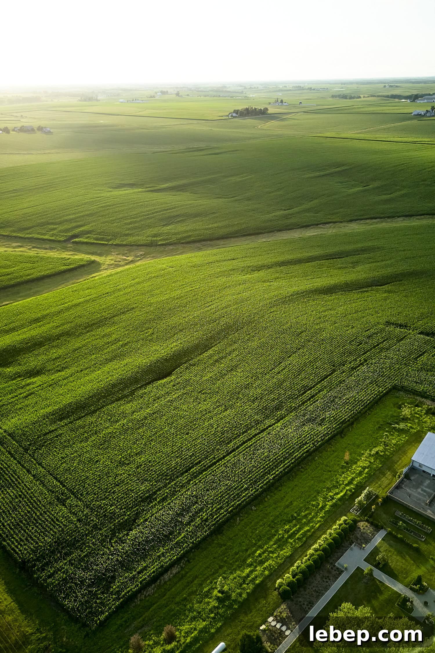 Zone 5b Planting Calendar: What to Plant by Month for Your Garden 2 Farm fields in Zone 5b.