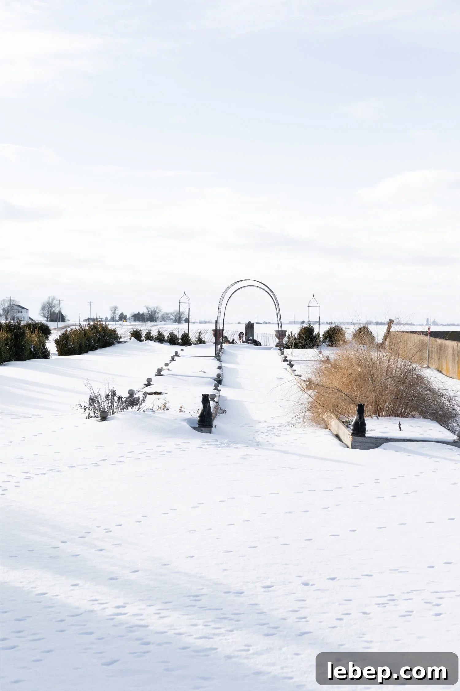 Zone 5b Planting Calendar: What to Plant by Month for Your Garden 6 Winter snow in garden beds.