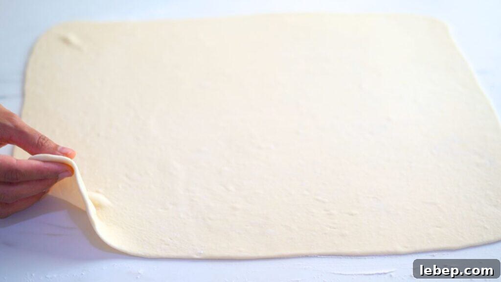 beginner's croissant
