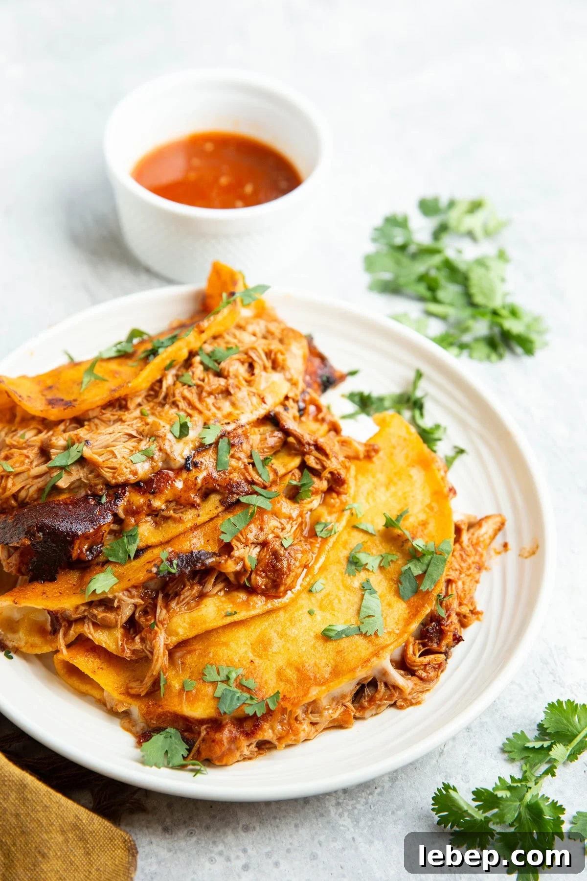 Four chicken birria tacos on a plate with a bowl of consommé in the background and fresh cilantro to the side.
