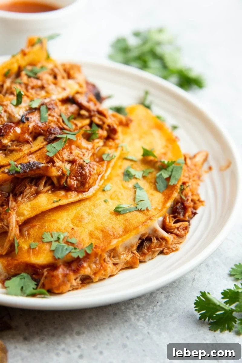 Four chicken birria tacos on a plate with a closeup so you can see the melted cheese and moist chicken. Sprinkled with fresh cilantro.