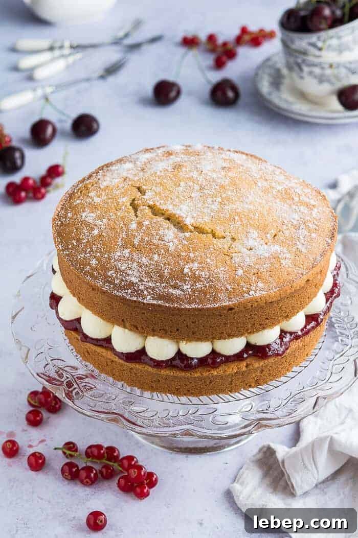 Vegan Victoria sponge cake filled with jam and buttercream on a glass cake stand on a grey background with cherries and redcurrants.