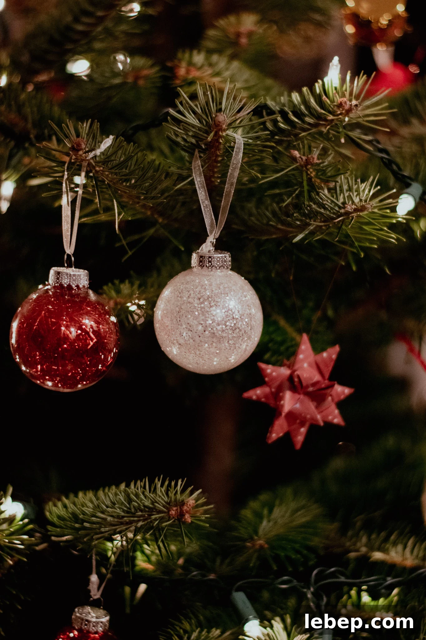 Ornaments on a tree.